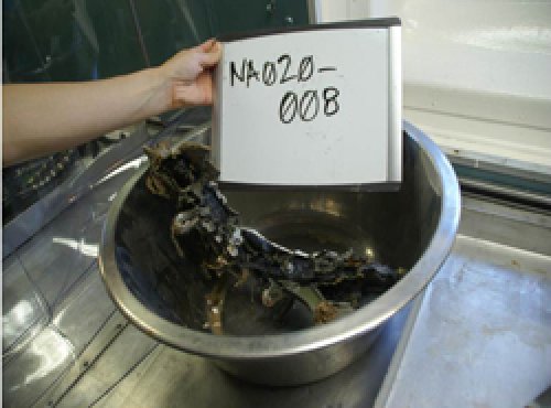 TSK şehit pilotların eşyalarını yayınladı