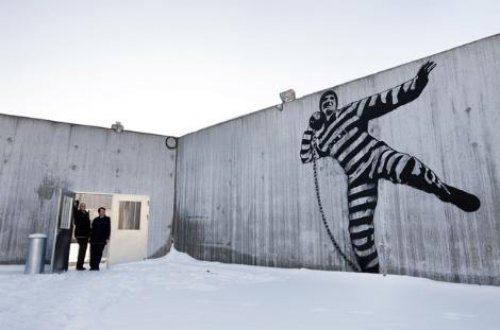 Norveç canisi bu odada yatacak