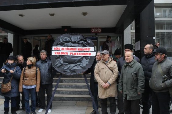 Yalova Belediyesi 180 ağaç kesti