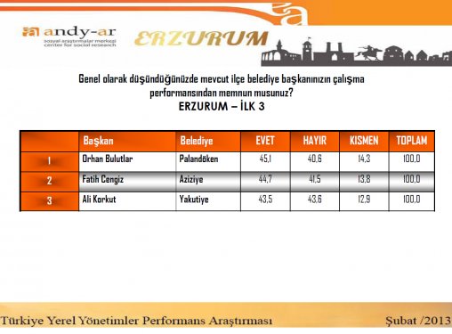 Yerel yönetimler performans araştırması