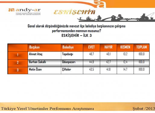 Yerel yönetimler performans araştırması