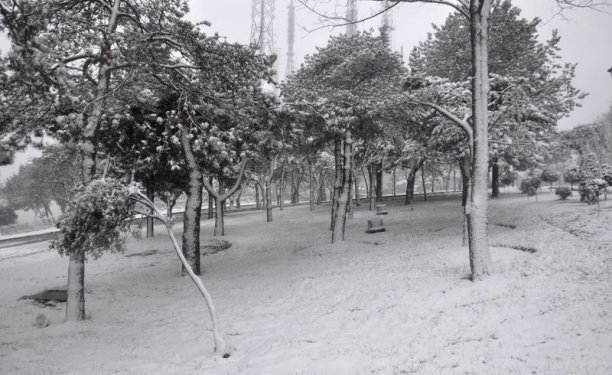 İstanbul'da kar yağışı etkili oldu