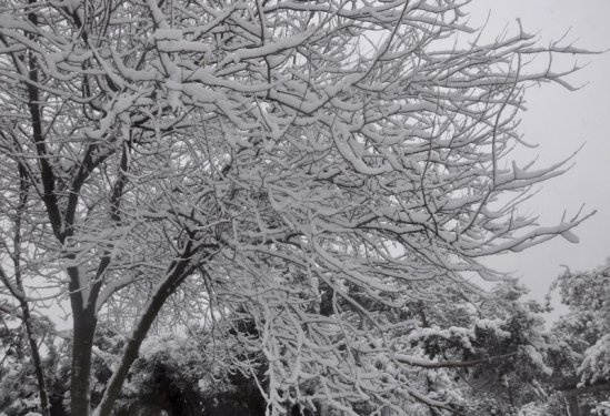İstanbul'da kar yağışı etkili oldu