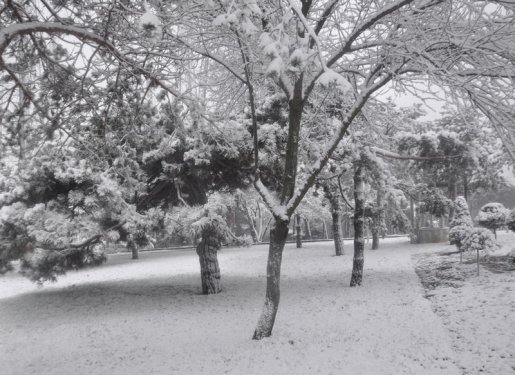İstanbul'da kar yağışı etkili oldu