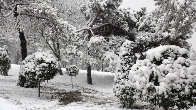 İstanbul'da kar yağışı etkili oldu