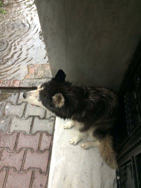 İstanbul'da sağanak yağmur etkisi