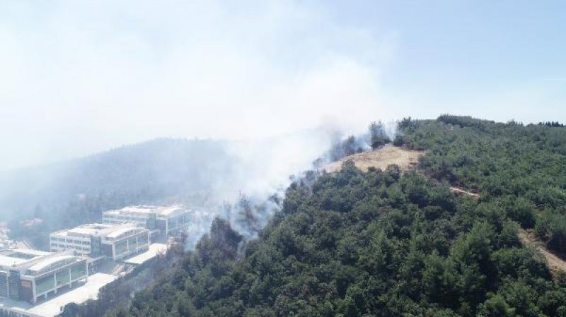 Bursa'da orman yangını