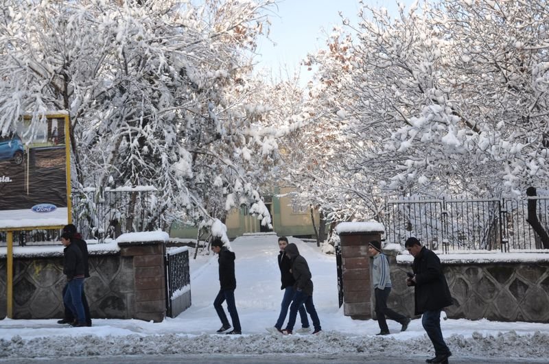 Doğu'da kar yağışı etkili oldu