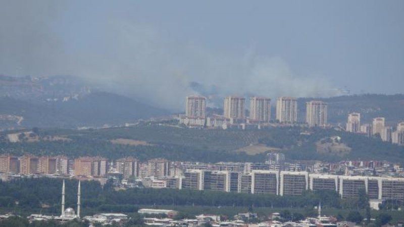 Bursa'da orman yangını
