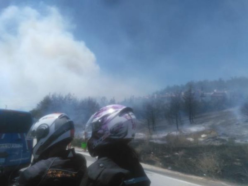 Bursa'da orman yangını