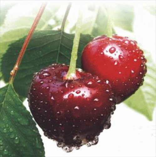 Buğday çimi suyunu içtiniz mi