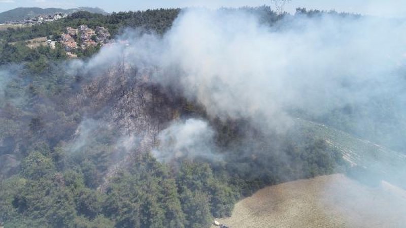 Bursa'da orman yangını