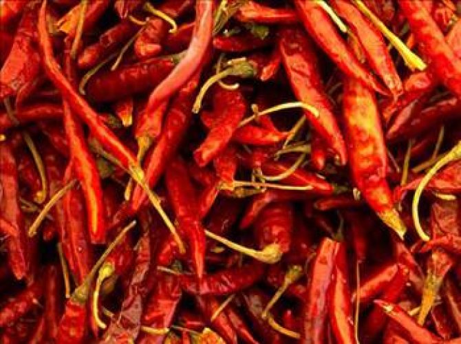 Cahil kalmamak için okuyun