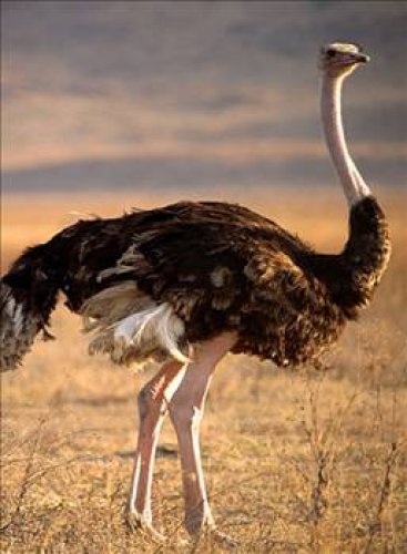 Cahil kalmamak için okuyun