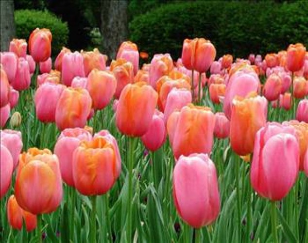 Cahil kalmamak için okuyun