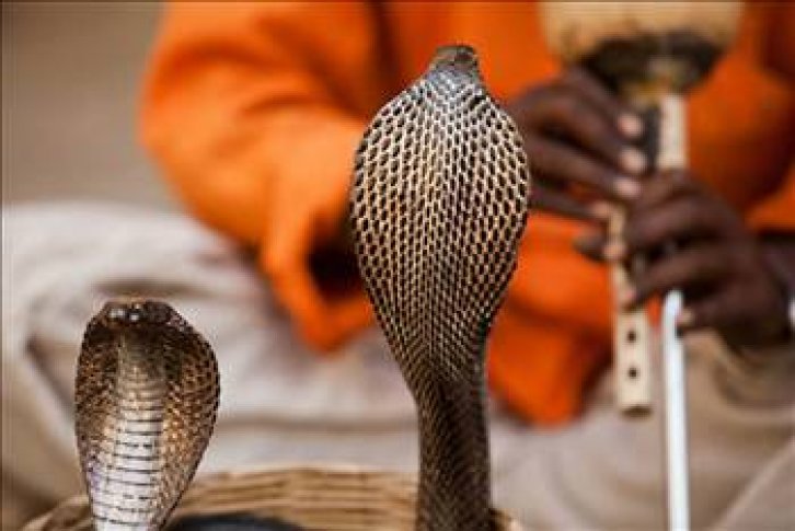 Cahil kalmamak için okuyun