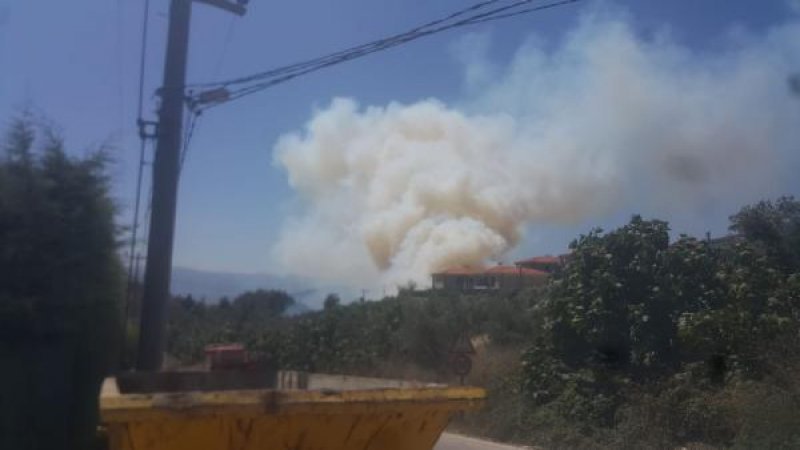 Bursa'da orman yangını