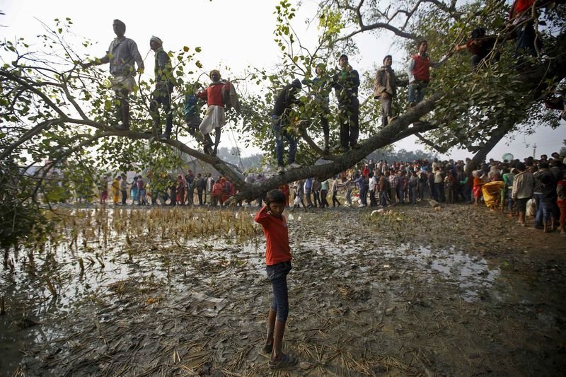 Nepal'de dini festivalde yüz binlerce hayvan kesildi