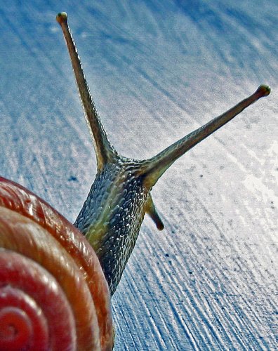 Dünyanın en güzel 506 fotoğrafı