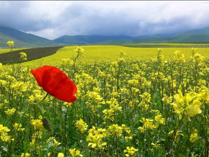 Dünyanın en güzel 506 fotoğrafı