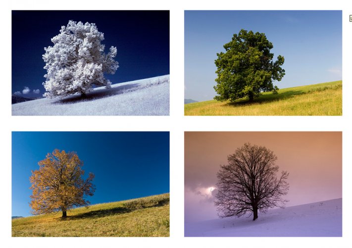 Dünyanın en güzel 506 fotoğrafı