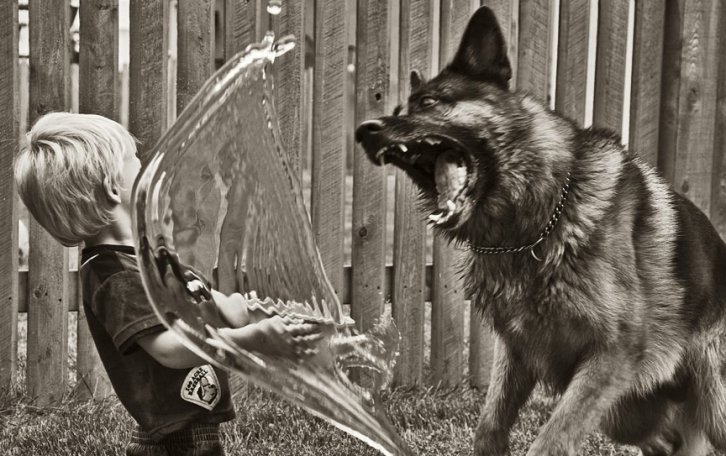 Dünyanın en güzel 506 fotoğrafı