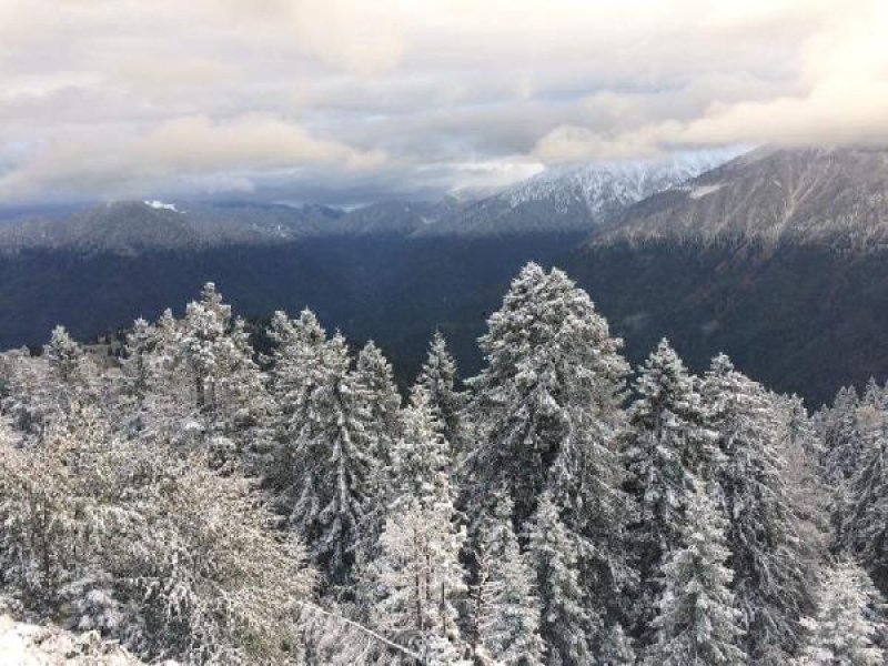 Doğu Karadeniz'de kar etkisi