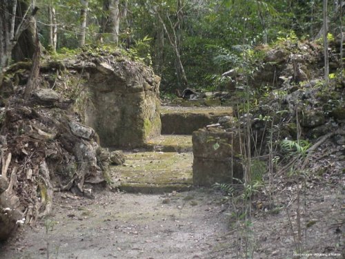 Kıyamet kehaneti dünyayı korkutan medeniyet: Mayalar