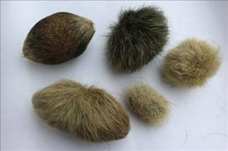 En ilginç tıbbi vakalar