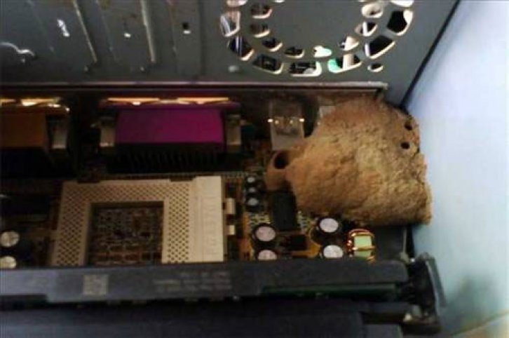 En yeni yurdum insanı manzaraları