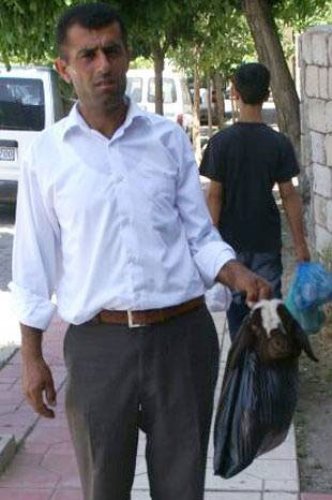 En yeni yurdum insanı manzaraları