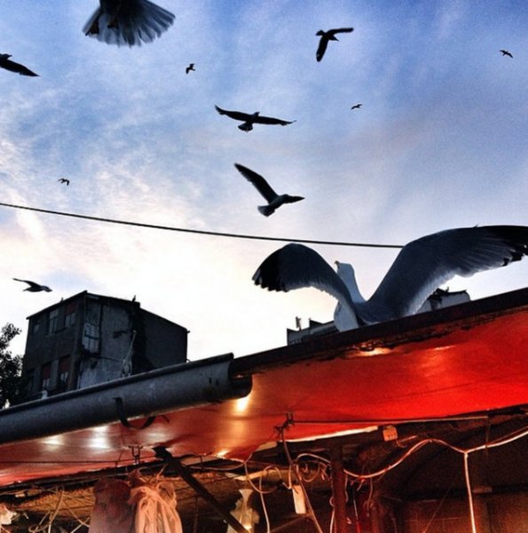 Ünlü yönetmen Ferzan Özpetek'in gözünden İstanbul