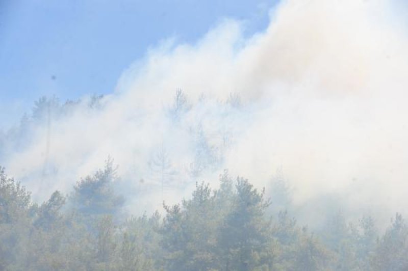 Bursa'da orman yangını