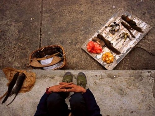 Farklı insanlar  farklı kültürler