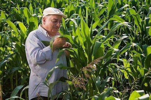  Hangi ünlü hangi takımı tutuyor