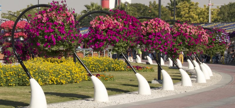 Dünyanın en büyük çiçek bahçesi