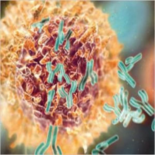  Kadın ve erkek arasındaki farklar 