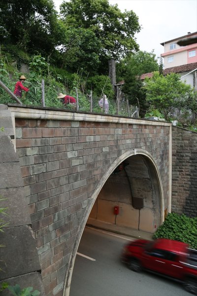 Artvin'de tünelin üstünü tarlaya çevirdiler