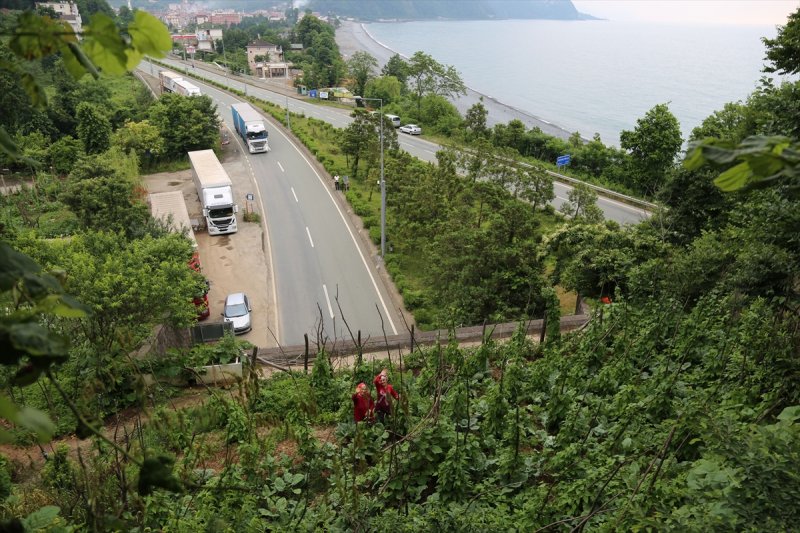 Artvin'de tünelin üstünü tarlaya çevirdiler