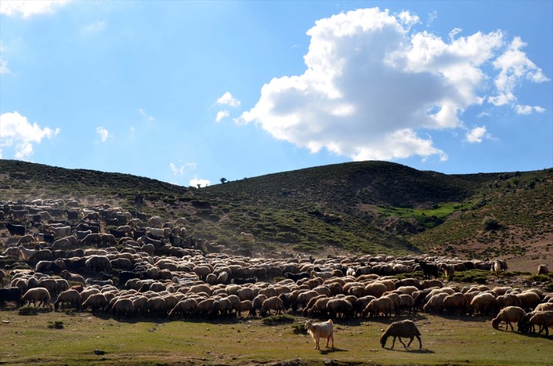 Muşlu kadınlar yaylalarda ek gelir için çalışıyor