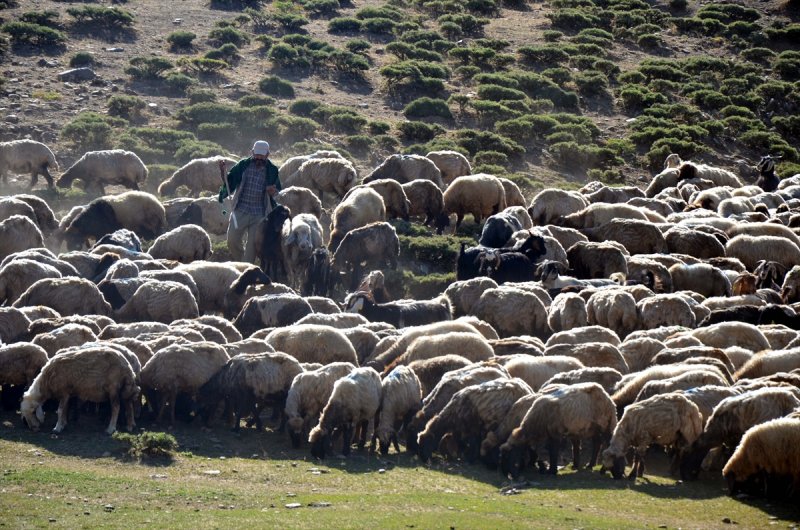 Muşlu kadınlar yaylalarda ek gelir için çalışıyor