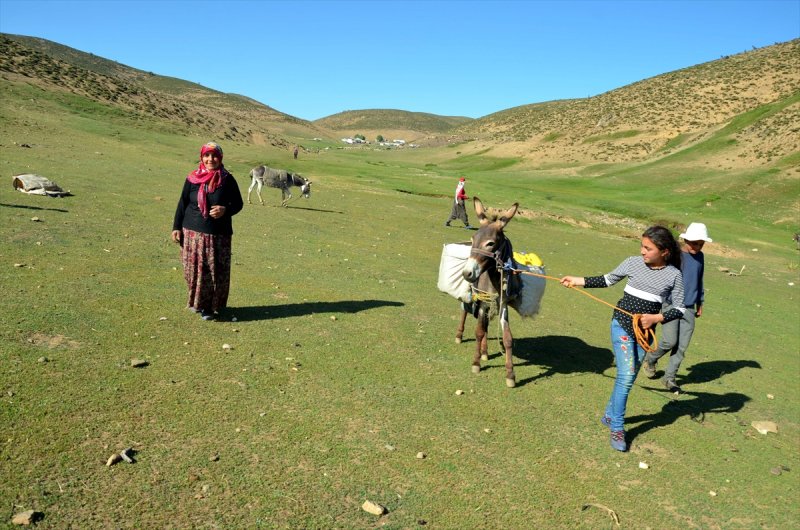 Muşlu kadınlar yaylalarda ek gelir için çalışıyor