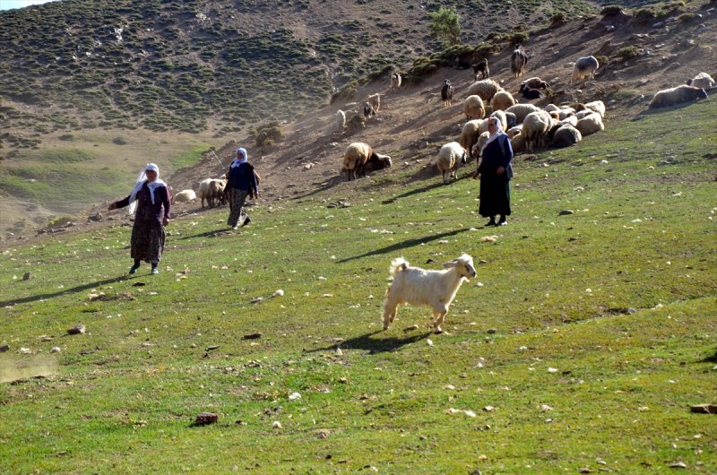 Muşlu kadınlar yaylalarda ek gelir için çalışıyor