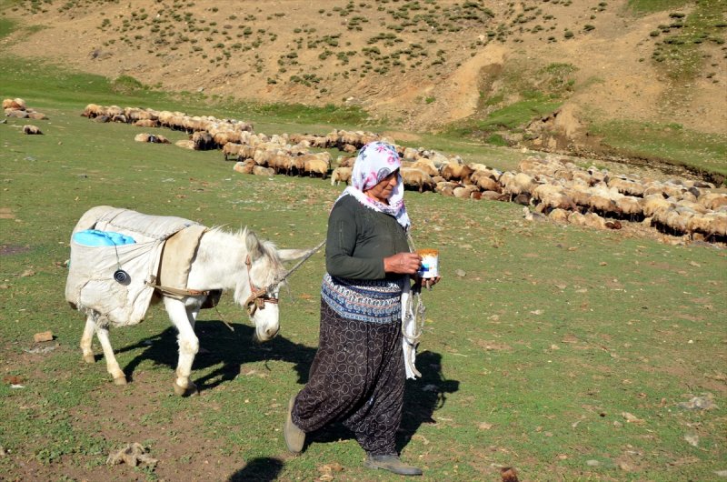 Muşlu kadınlar yaylalarda ek gelir için çalışıyor