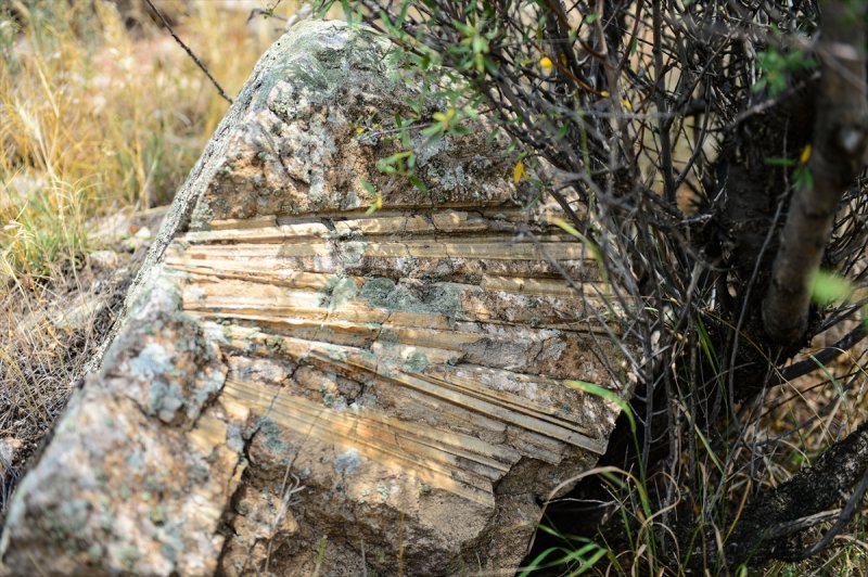 Ağrı Dağı, geçmişte deniz kenarı çıktı