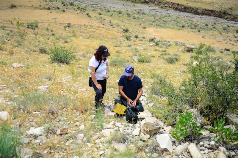 Ağrı Dağı, geçmişte deniz kenarı çıktı
