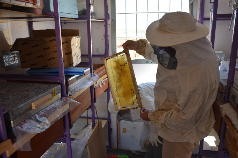 Adıyamanlı kaporta ustası, hazırladığı konteynerle 'gezici arıcı' oldu