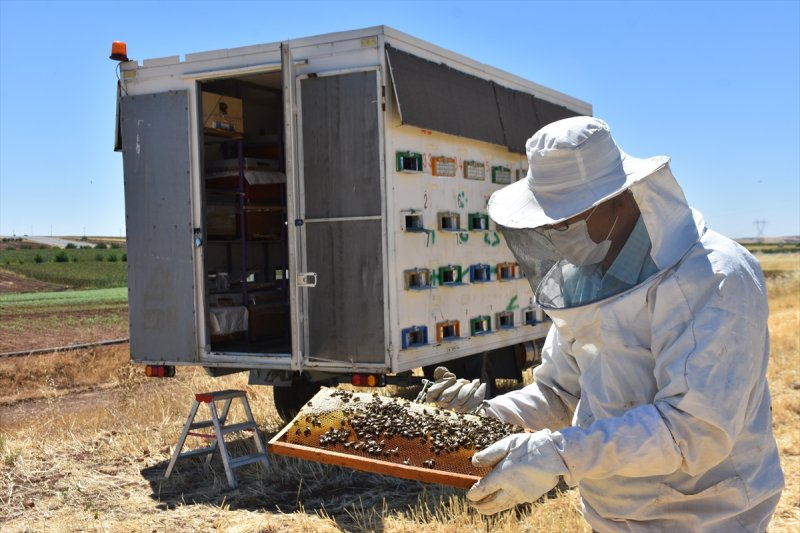 Adıyamanlı kaporta ustası, hazırladığı konteynerle 'gezici arıcı' oldu