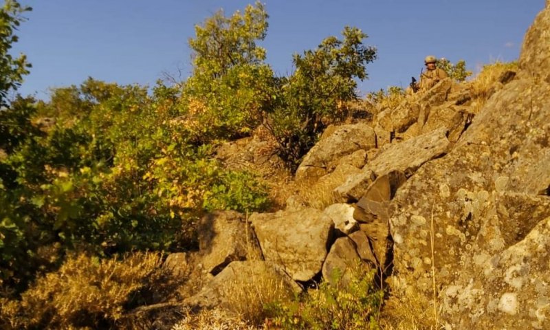 Yıldırım-9 Şenyayla Operasyonu