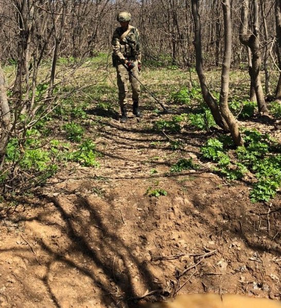 Yıldırım-9 Şenyayla Operasyonu